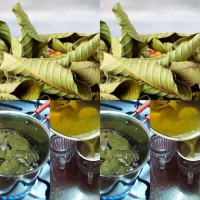 1. Promoting Hair Health