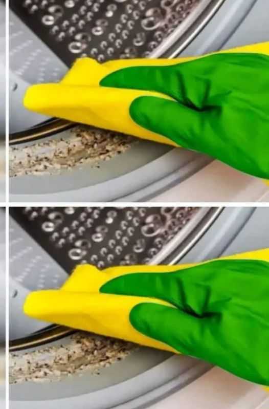 The trick to cleaning the inside of your washing machine and avoiding paying a high electricity bill