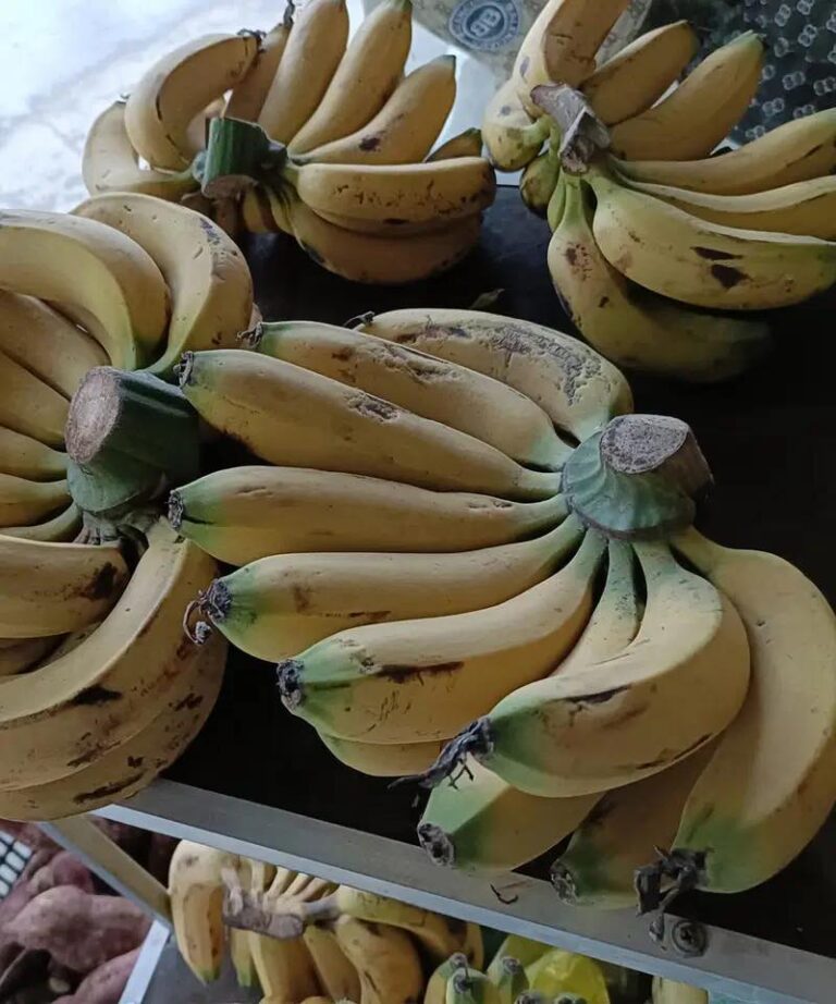 Doctors reveal that eating bananas regularly for 6 months causes