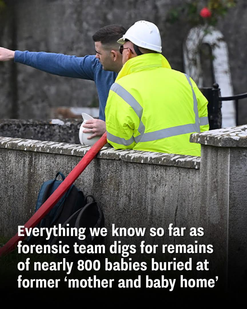 Everything we know so far as forensic team digs for remains of nearly 800 babies buried at former ‘mother and baby home’