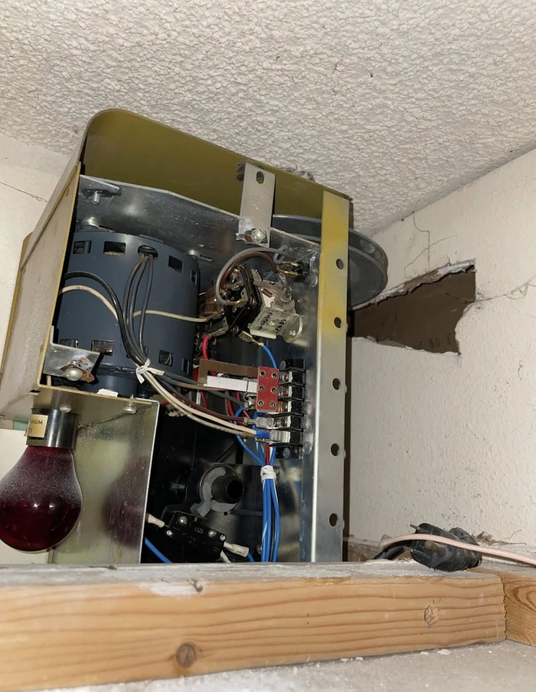 A Strange Find in the Ceiling